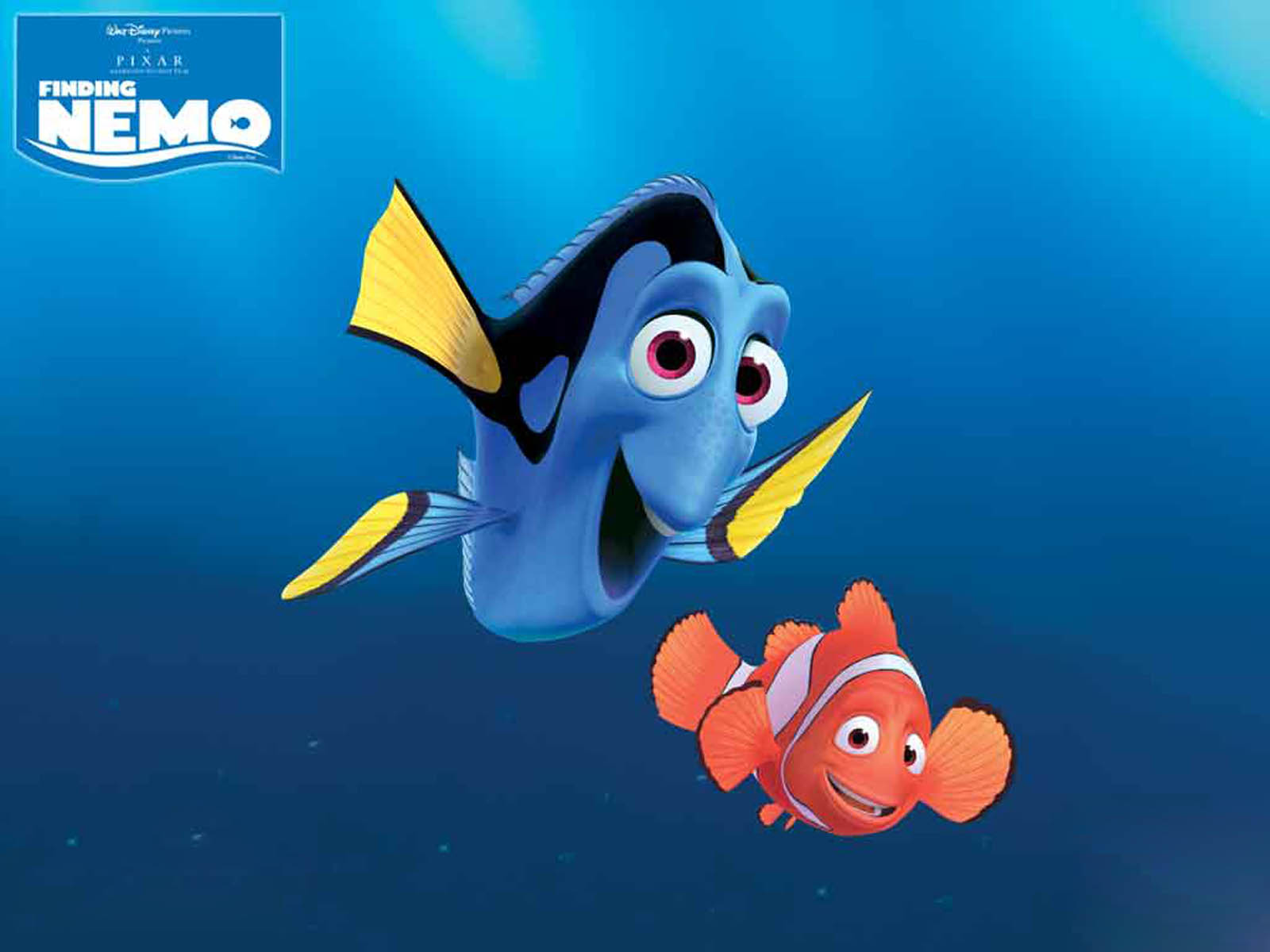 finding nemp finding nemp